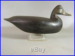 Blackduck duck decoy Charles Birch, Willis Wharf, Virginia ca. 1930 orig. Paint