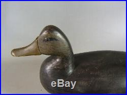 Blackduck duck decoy Charles Birch, Willis Wharf, Virginia ca. 1930 orig. Paint