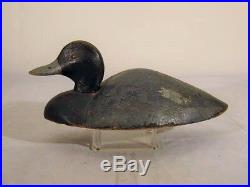 Bluebill Decoy Upstate New York 100% Original Antique Goose Shorebird