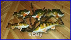 Bluegill/perch, duck decoy, fish decoy, fishing collectible
