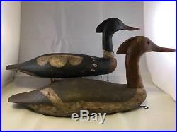 Bob Biddle Red-breasted Merganser Rigmate Pair Decoys Signed Or Best Offer