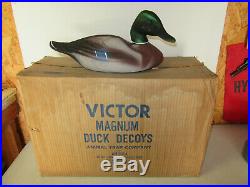 Box of 6 Victor Magnum Paper Mache vintage Mallard Duck decoys in box