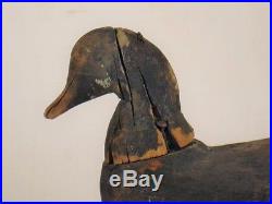 Brant Duck Decoy Long Island New York Antique Wooden Goose Shorebird