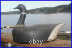 Brant goose decoy, wood hollow body, original paint, 16x7-1/2, Samish Bay, WA