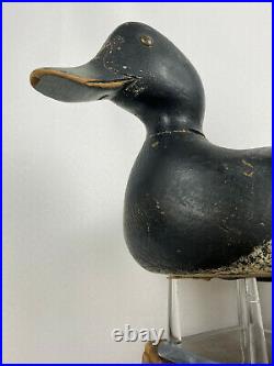 C1950 Julius Mittlesteadt Bluebill Duck Decoy Pair from Buffalo, NY Great Form