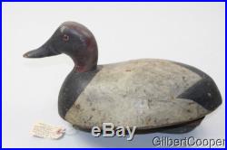CANVAS BACK DRAKE WOOD DECOY BY FRED A PLICHTA 1891 to 1942