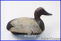 CANVAS BACK DRAKE WOOD DECOY BY FRED A PLICHTA 1891 to 1942