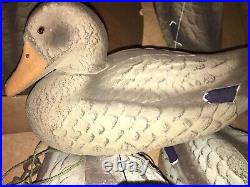 CARRY LITE DUCK DECOYS SET OF 8 OLD STOCK BOXED VINTAGE Paper Mache