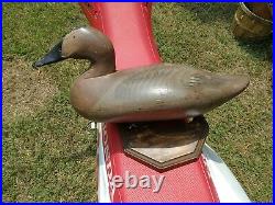 COLLECTABLE signed MADISON MITCHELL HEN CANVASBACK DUCK DECOY