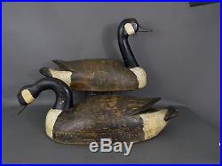 Ca. 1930-40's H0LO CANADA GEESE DECOYS, EASTERN ONTARIO MOSTLY ORIG PNT 23LONG
