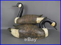 Ca. 1930-40's H0LO CANADA GEESE DECOYS, EASTERN ONTARIO MOSTLY ORIG PNT 23LONG