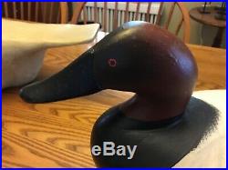 Canvasback Decoy By Madison Mitchell Havre de Grace, Md. S/D 1957