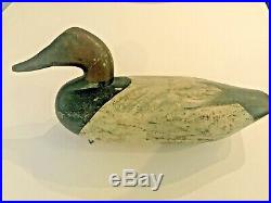 Canvasback Drake Duck Decoy C. 1900 Samual T. Barnes Chesapeake Bay