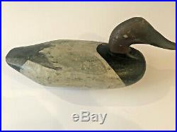 Canvasback Drake Duck Decoy C. 1900 Samual T. Barnes Chesapeake Bay
