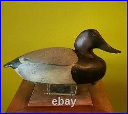 Canvasback Drake Ward Brother's Decoy