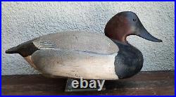 Canvasback Drake Ward Brother's Decoy