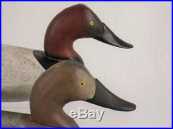 Canvasback Duck Decoy Pair Jim Currier Maryland Original Antique Goose Shorebird