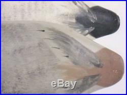 Canvasback Duck Decoy Pair Jim Currier Maryland Original Antique Goose Shorebird