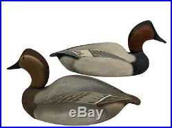 Canvasback Pair Ward Brothers
