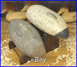 Canvasback Pair by Sam Barne of Havre de Grace MD