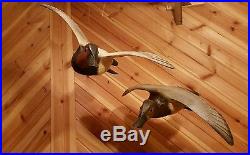 Canvasback, duck decoy, flying Canvasback duck, all wood by Casey Edwards