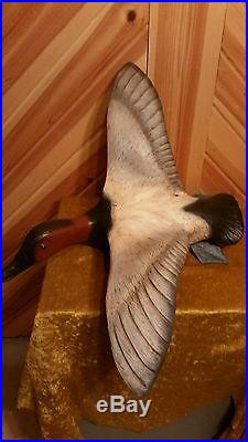 Canvasback, duck decoy, flying Canvasback duck, all wood by Casey Edwards