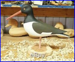 Cape May N. J. Carver J. P. Hand Oystercatcher Decoy