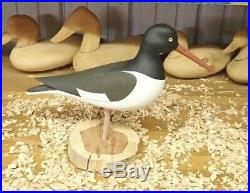 Cape May N. J. Carver J. P. Hand Oystercatcher Decoy