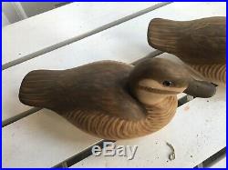 Carved Ruddy Duck Decoy Pair by Famed Late Delbert Cigar Daisey
