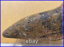 Carved Ruddy Turnstone Shorebird Decoy Stamped BENNETT, du Pont Coll, c1900