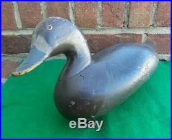 Carved Wooden Hunting Blue Bill Hen Duck Decoy Paul Gibson with AR Brand