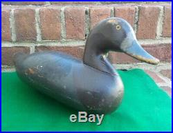 Carved Wooden Hunting Blue Bill Hen Duck Decoy Paul Gibson with AR Brand
