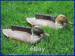 Cast Iron Duck Boot Scrapers 1940's 50's