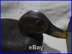 Charles Hart Gloucester, MA Black Duck Decoy