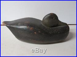 Chesapeake Bay Blackduck Duck Decoy, Original Paint, tucked head