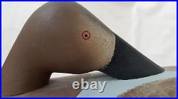 Collectable Vintage Preener Canvasback Hen Decoy (charles Bryan Middle River)