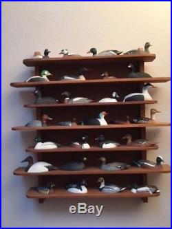 Collection of 30 Signed Hand Carved Painted Wooden Duck Decoys on Display Shelf