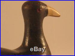 Coot Duck Decoy Louisiana Root Head 100% Original Antique Goose Shorebird