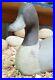 Currituck NC Carved Working Pintail Drake Decoy O/S