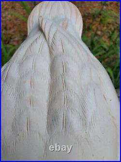 Danos styrofoam ringneck model tupelo cutout for duck decoy carving Louisiana