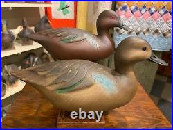 Darkfeather Freedman Excellent Original Pair Cinnamon Teal Duck Decoys Vintage