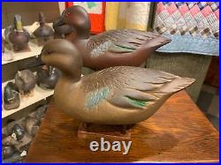 Darkfeather Freedman Excellent Original Pair Cinnamon Teal Duck Decoys Vintage