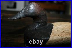 Dated 1898 Chesapeake Bay Maryland Canvasback Duck Gunning Decoy Sam Barnes