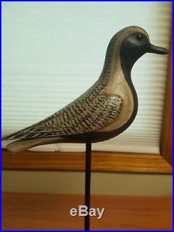 David B. Ward Shore Bird Golden Plover Vintage Decoy Signed D. B. W. 1983