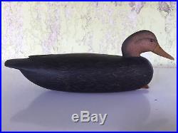 Decoy Black Duck Delaware River Style, New Jersey