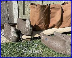 Decoy Duck Carrying Bag L L Bean with 6 Decoy Ducks