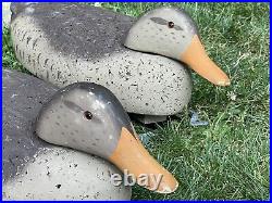 Decoy Duck Carrying Bag L L Bean with 6 Decoy Ducks