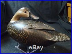 Delaware River style Black Duck decoy by Glenn Cooke Manasquan New Jersey