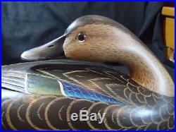 Delaware River style Black Duck decoy by Glenn Cooke Manasquan New Jersey