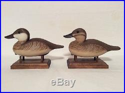 Delbert CIGAR Daisey(1928-2017)pr of Ruddy Ducks vintage decoys- excellent